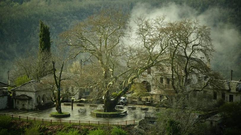 Вилла Βίτσα Πετρόκτιστο Αρχοντικό "Ιόλη" Με Θέα Ζαγόρι Экстерьер фото